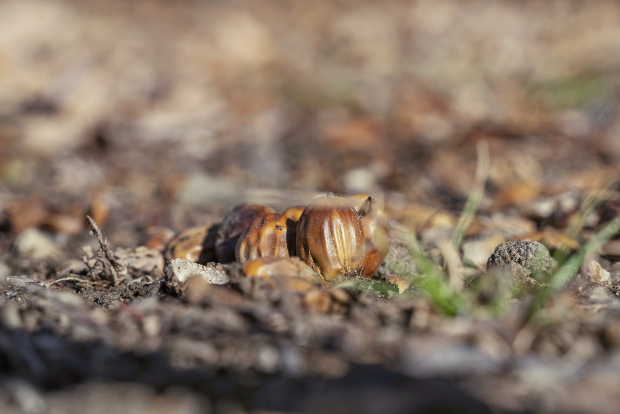 0 Slate Lick Road London, KY 40741 - Photo 23 of 35 a view of a city