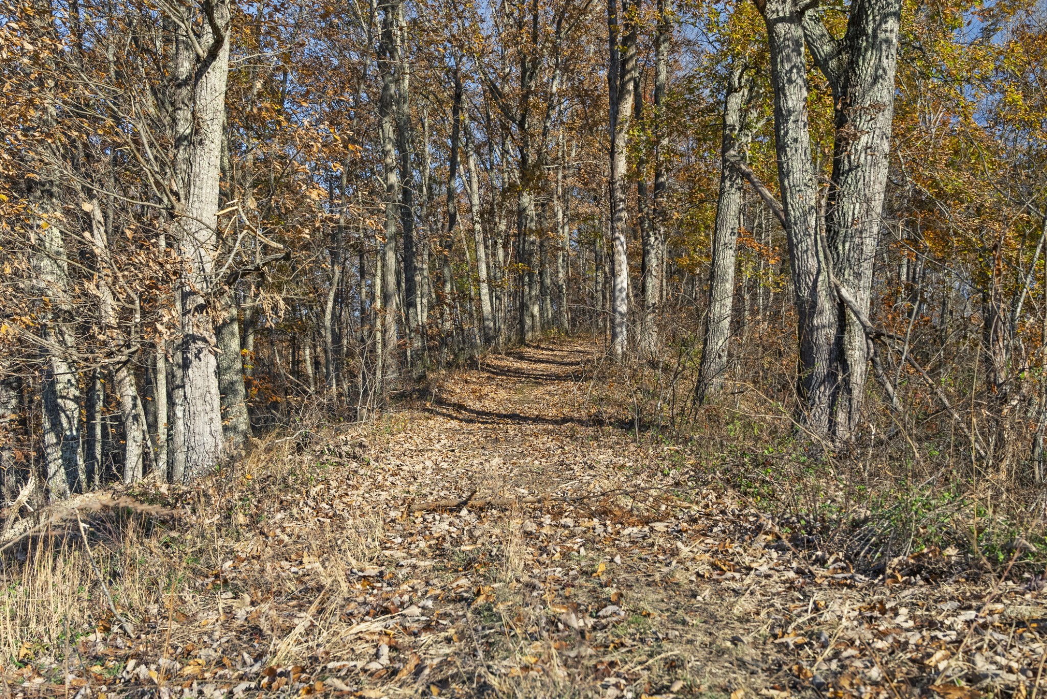 0 Slate Lick Road London, KY 40741 - Photo 28 of 35 a view of outdoor space