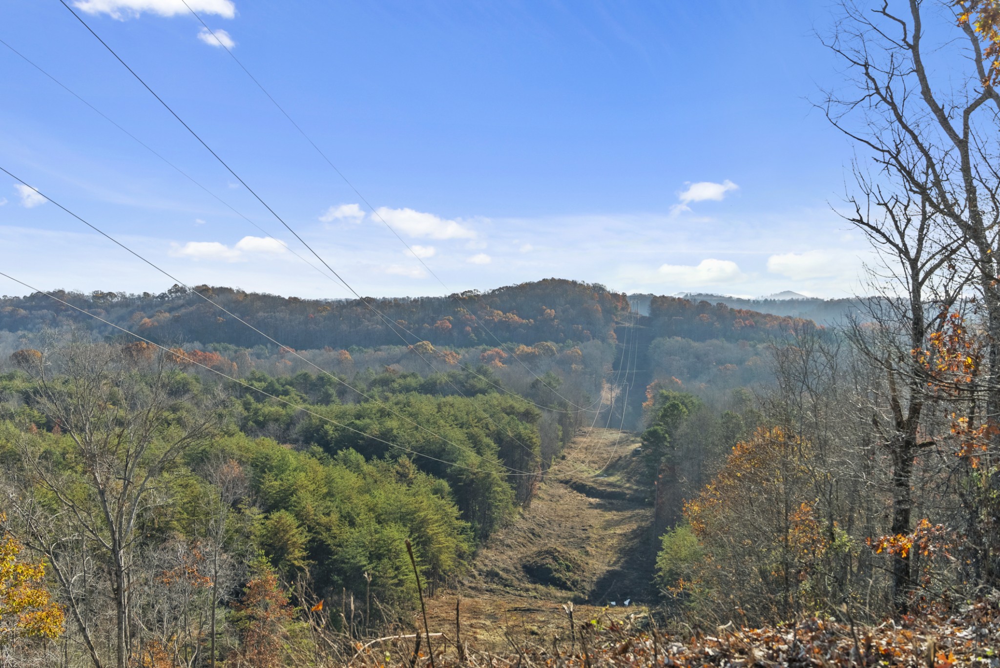 0 Slate Lick Road London, KY 40741 - Photo 29 of 35 a view of a forest with mountains in the background