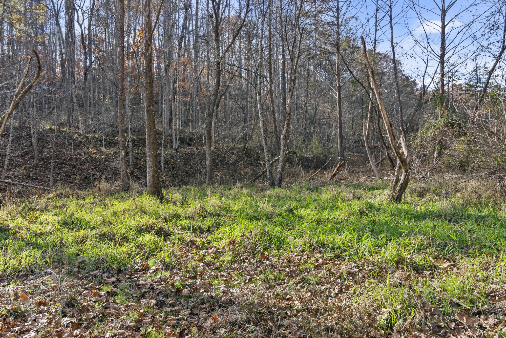 0 Slate Lick Road London, KY 40741 - Photo 30 of 35 a view of backyard with green space