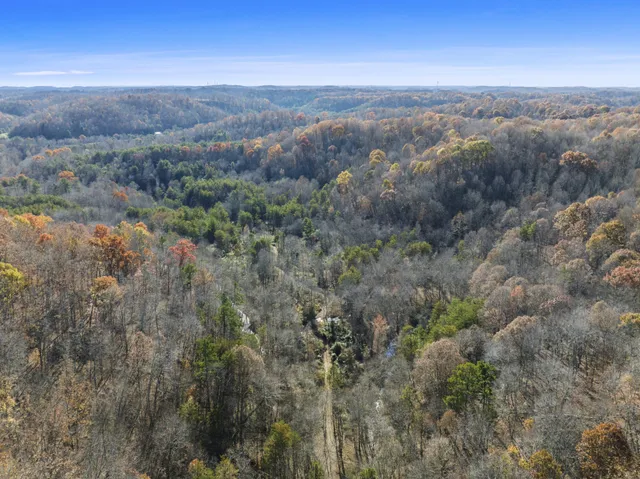 an aerial view of mountain with trees around