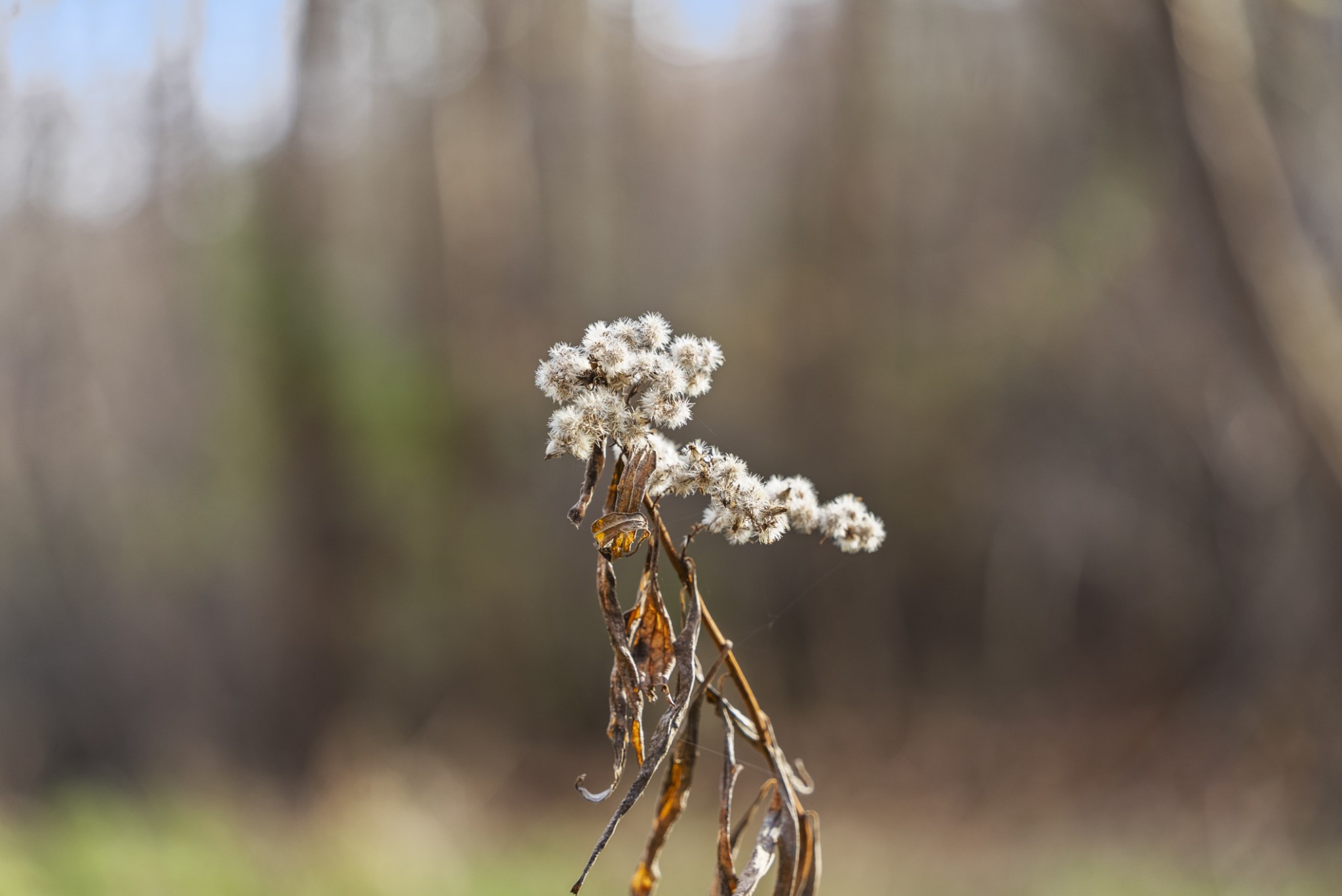 0 Slate Lick Road London, KY 40741 - Photo 35 of 35 a view of a chandelier in a room