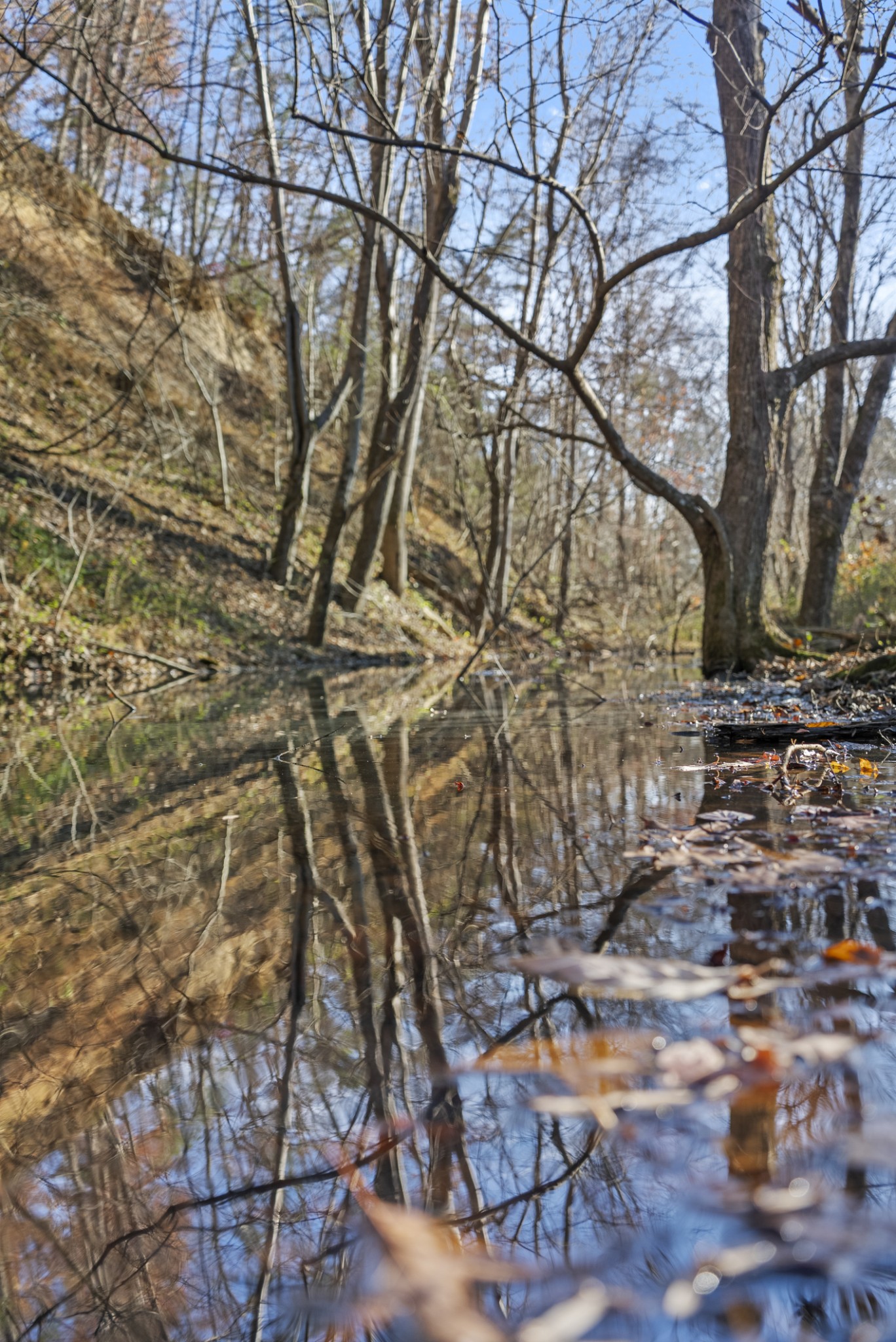 0 Slate Lick Road London, KY 40741 - Photo 7 of 35 a backyard of a house with lots of green space