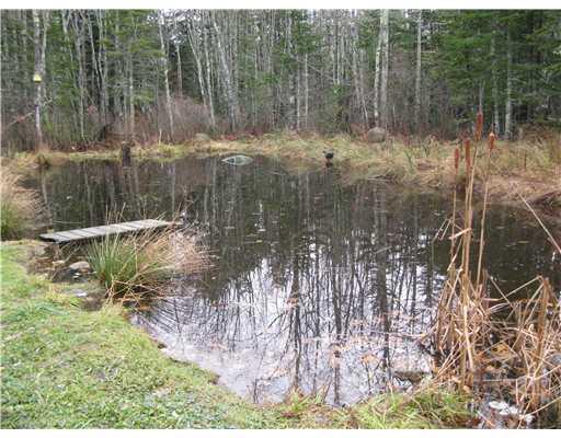 558 Mines Road Blue Hill, ME 04614 - Photo 4 of 14 Other. Small pond with ducks in...