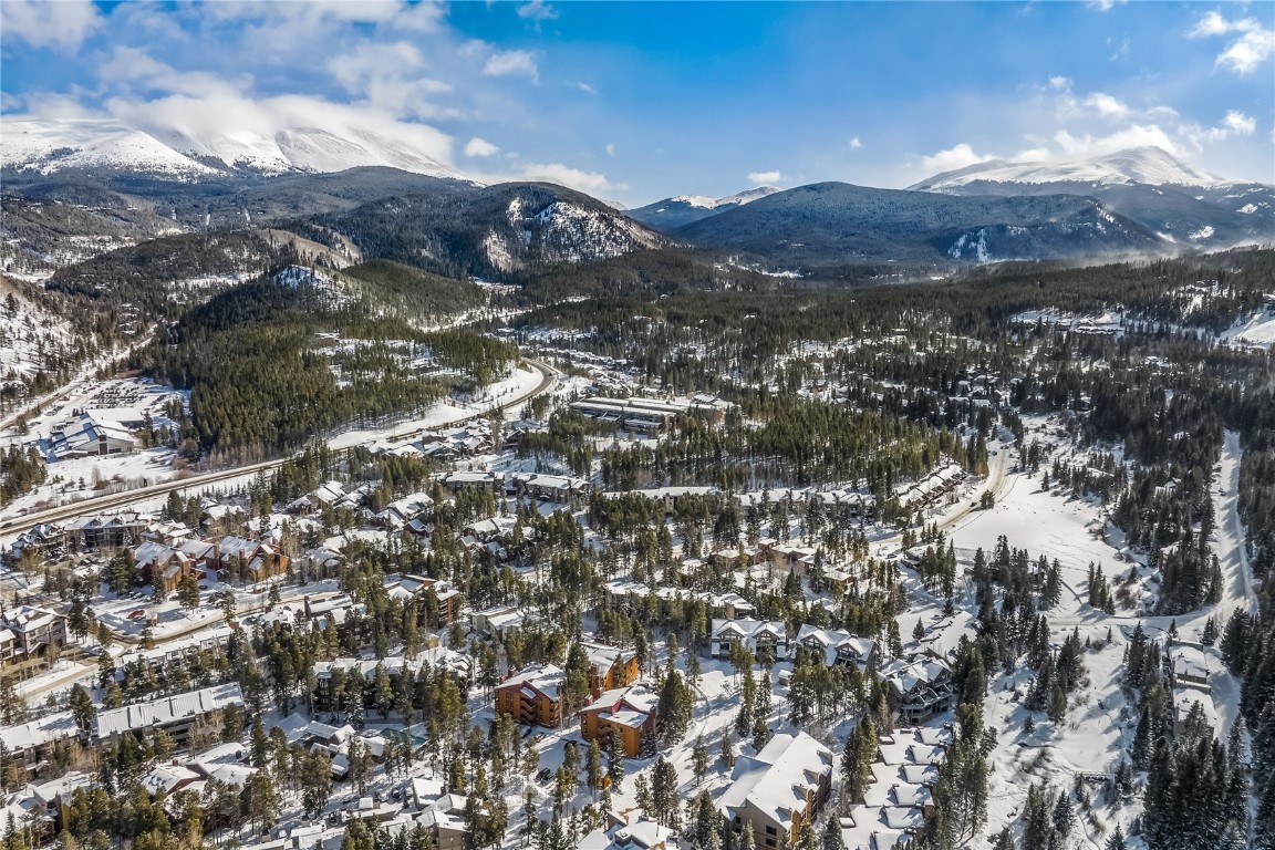 800 Columbine Road, Unit 5 Breckenridge, CO 80424 - Photo 34 of 38