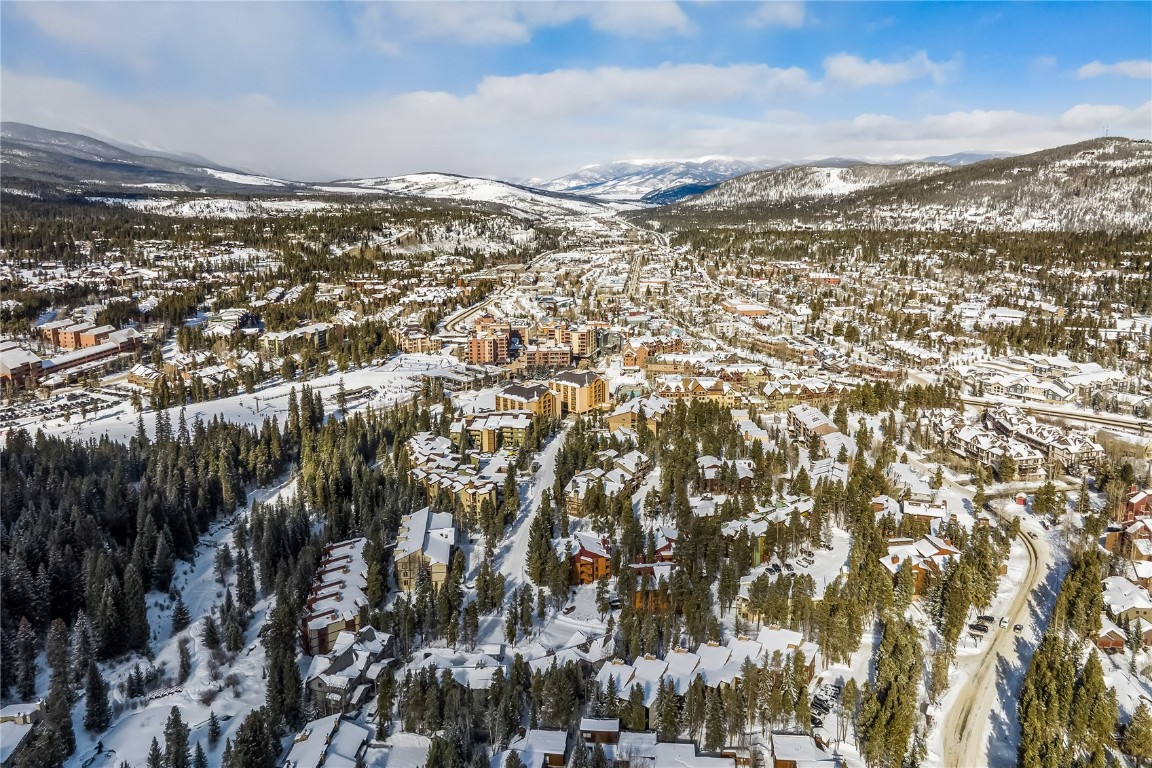 800 Columbine Road, Unit 5 Breckenridge, CO 80424 - Photo 36 of 38 a view of a city
