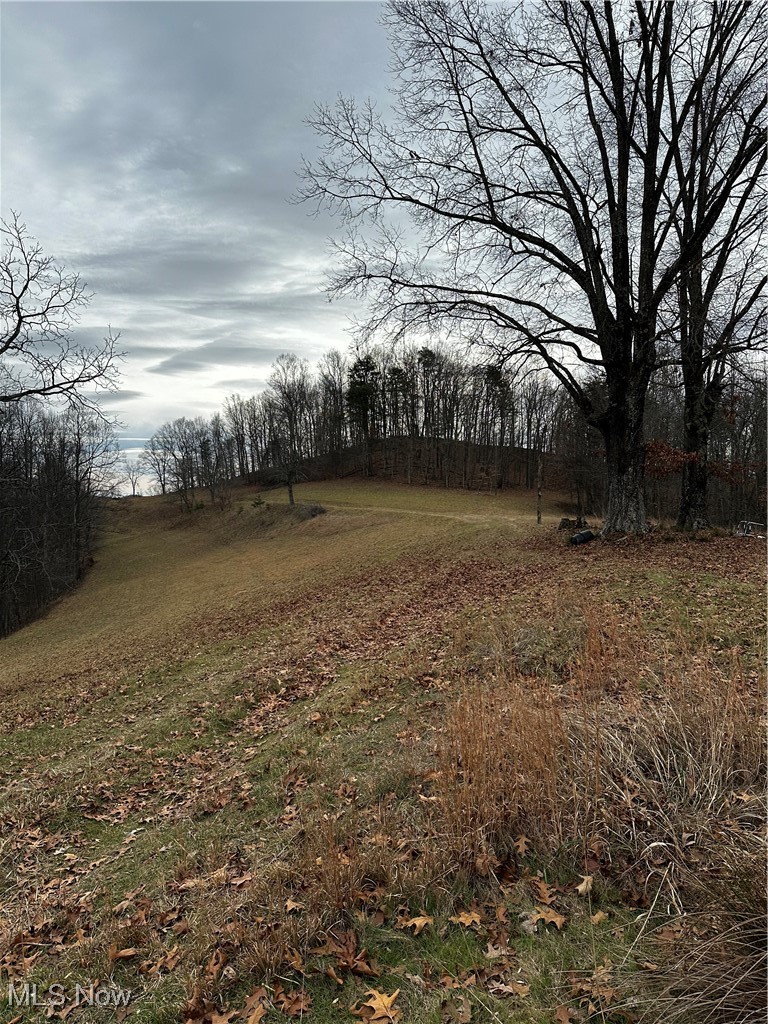 825 Co Rte 7/3 Reedy, WV 25270 - Photo 4 of 14