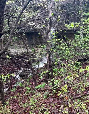 $550,000 | 1446 Highway 52, Tuscumbia, MO 65082