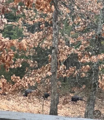 $550,000 | 1446 Highway 52, Tuscumbia, MO 65082