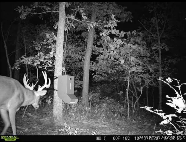 $550,000 | 1446 Highway 52, Tuscumbia, MO 65082