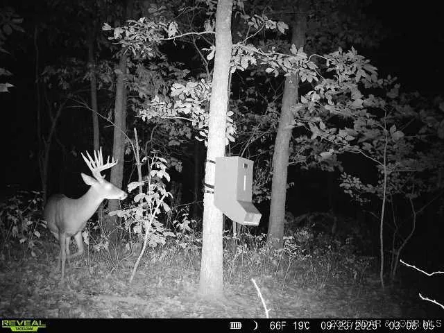 $550,000 | 1446 Highway 52, Tuscumbia, MO 65082