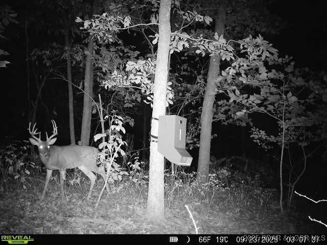 $550,000 | 1446 Highway 52, Tuscumbia, MO 65082