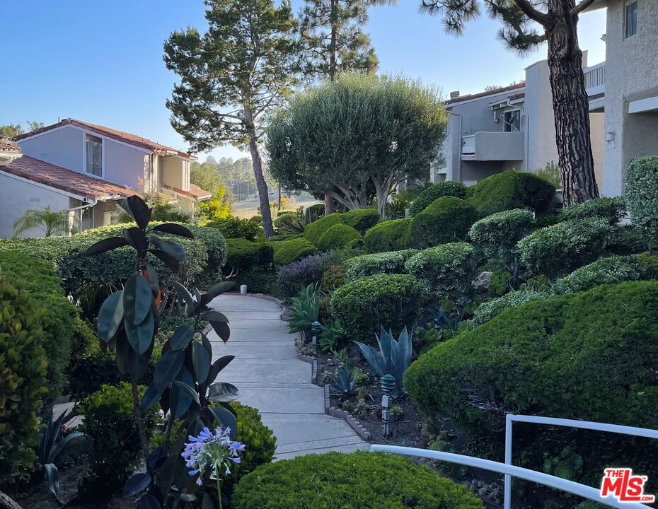 28366 Rey De Copas Lane Malibu, CA 90265 - Photo 16 of 20 a view of a yard with plants and large trees