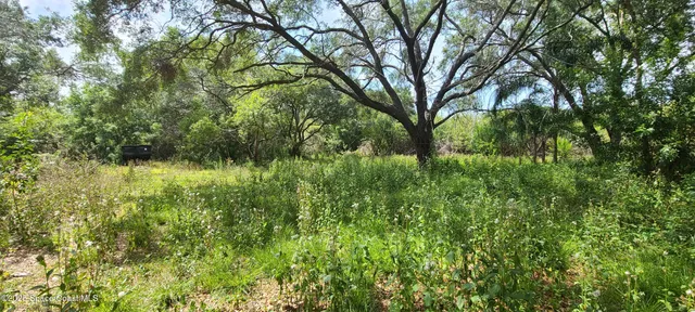 a view of outdoor space and a yard
