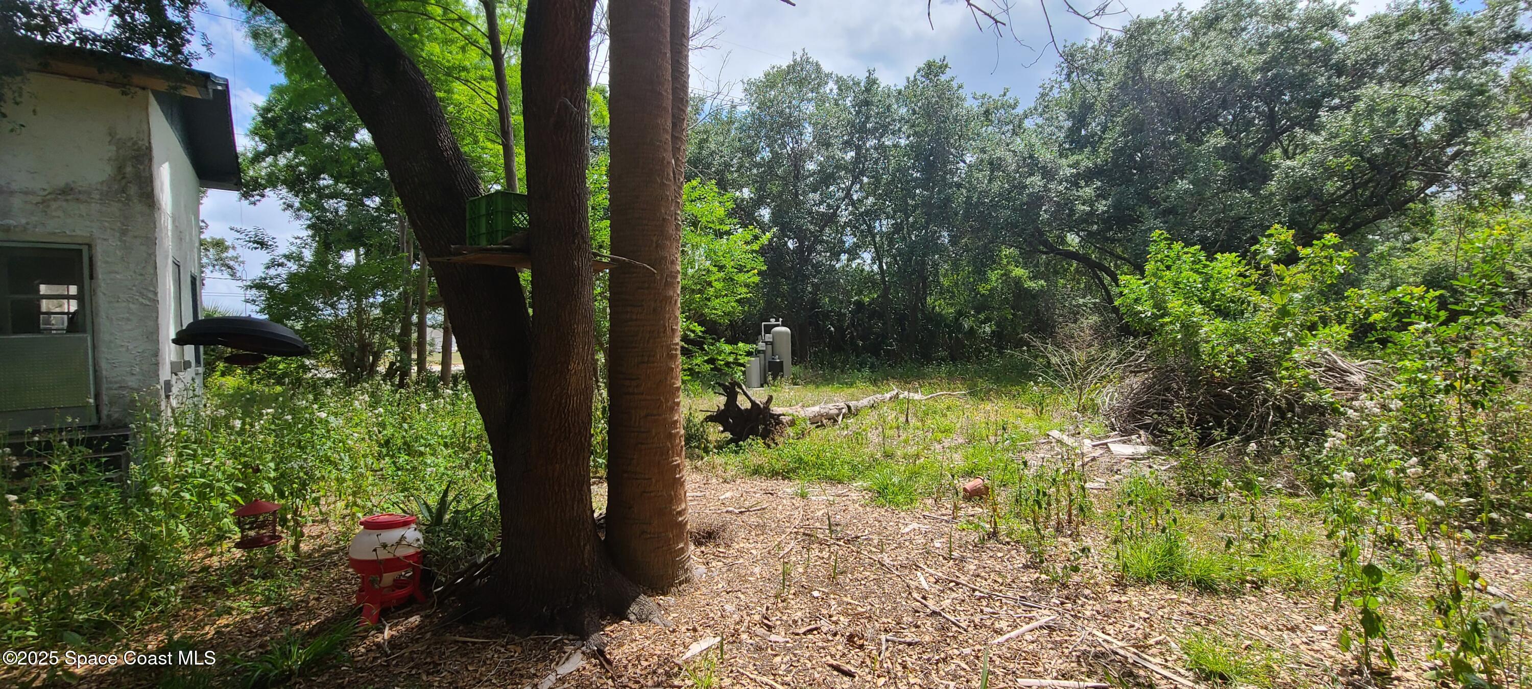 920 Malabar Road Malabar, FL 32950 - Photo 5 of 11 a view of backyard with green space