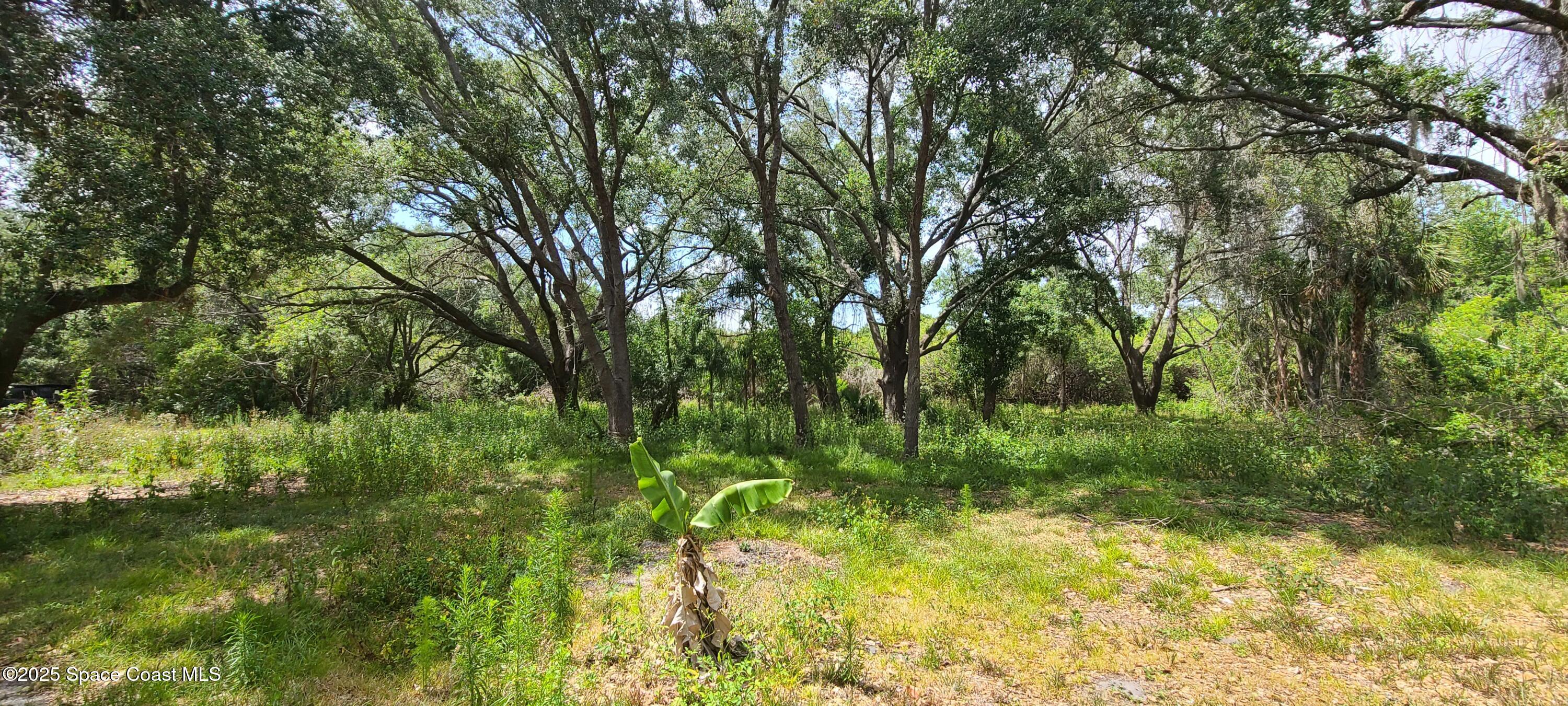 920 Malabar Road Malabar, FL 32950 - Photo 8 of 11 a view of yard with green space