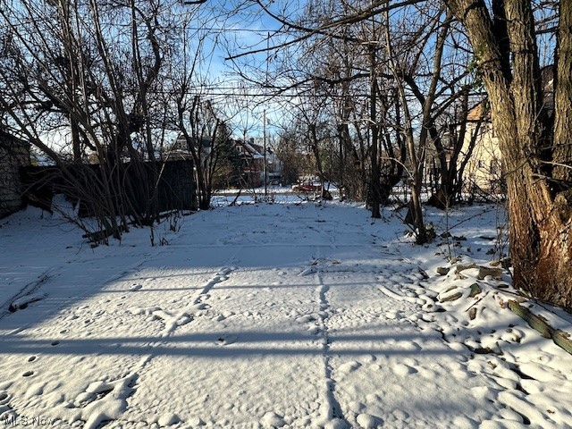 972 Paxton Road Cleveland, OH 44108 - Photo 4 of 22 View of yard layered in snow