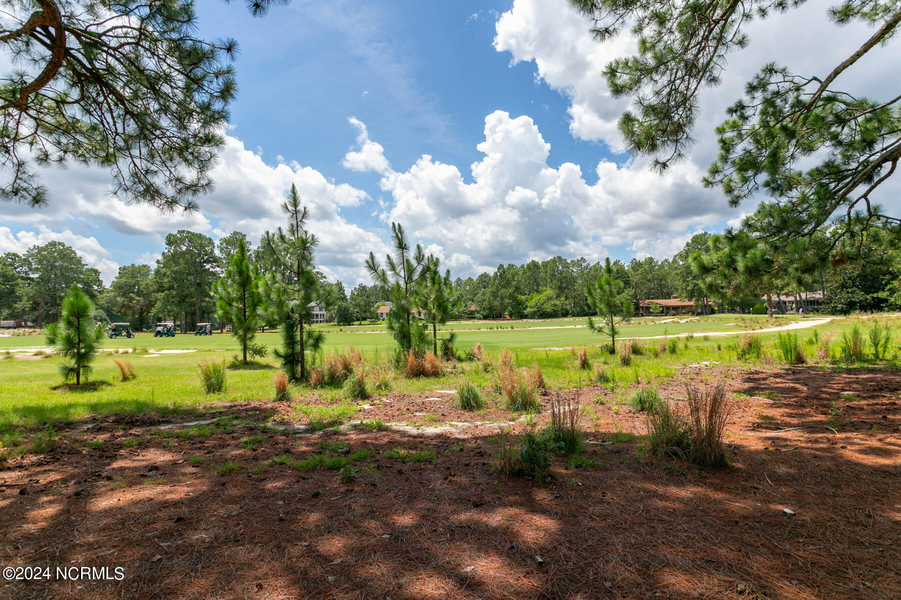 270 McKenzie Road West, Unit 51 Pinehurst, NC 28374 - Photo 31 of 33 back golf view1
