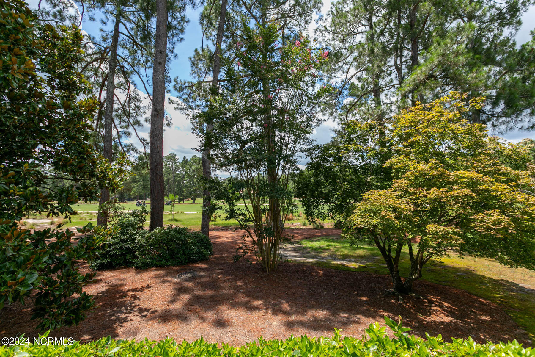 270 McKenzie Road West, Unit 51 Pinehurst, NC 28374 - Photo 32 of 33 back deck view