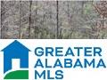 4138 Warrior Jasper Road, Unit METES AND BOUNDS Dora, AL 35062 - Photo 3 of 4