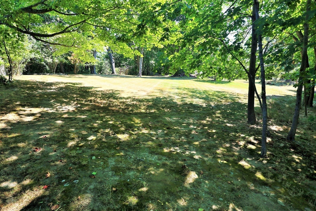 90 Central Street, Unit 2 East Bridgewater, MA 02333 - Photo 4 of 16 a view of outdoor space with trees all around