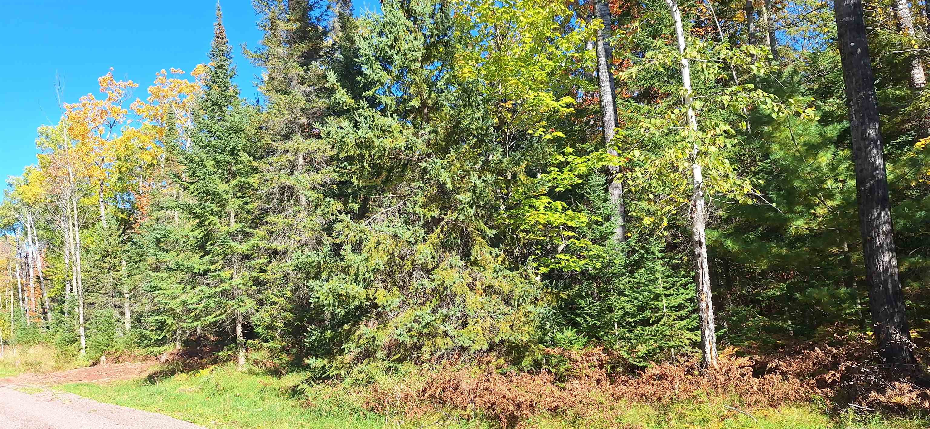 Lot 5 Raspberry Trail La Pointe, WI 54850 - Photo 4 of 8