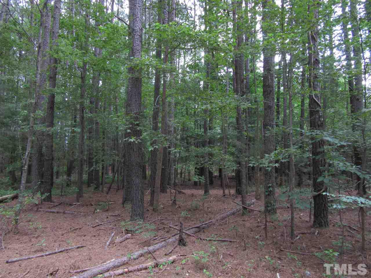7513 Riley Hill Road Zebulon, NC 27597 - Photo 3 of 4