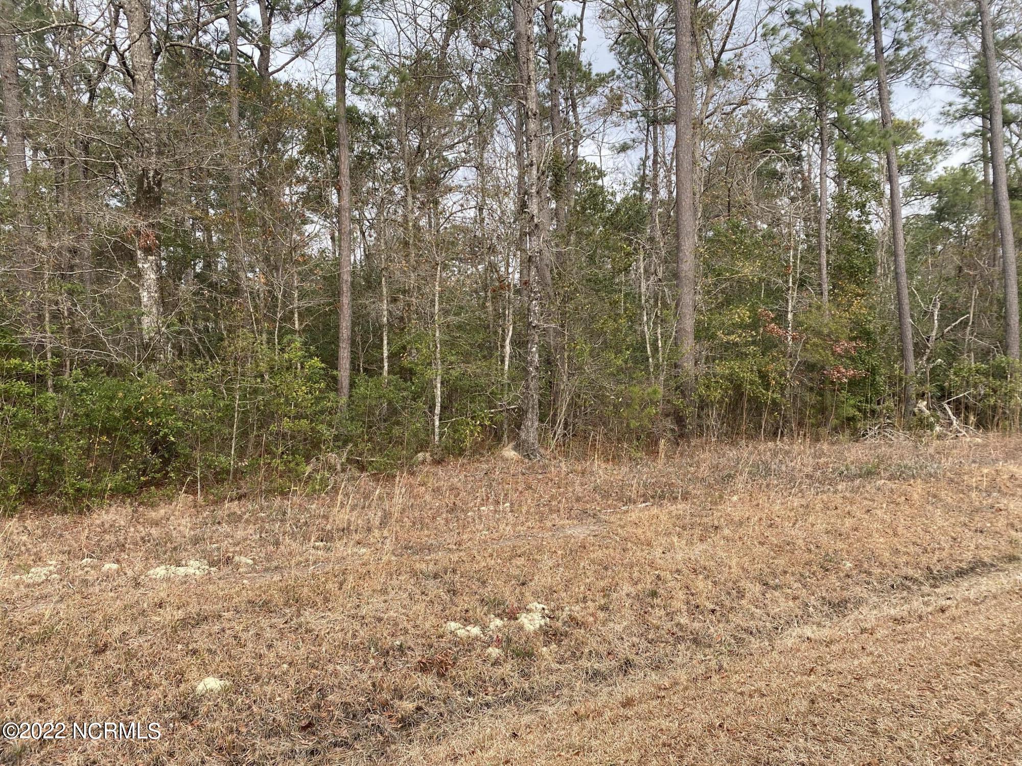 221 Becton Road Havelock, NC 28532 - Photo 5 of 5 IMG_2642