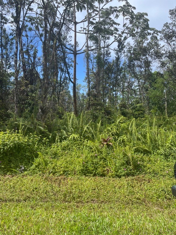 124 Pikake Road Pahoa, HI 96778 - Photo 3 of 3 Gallery Image 3