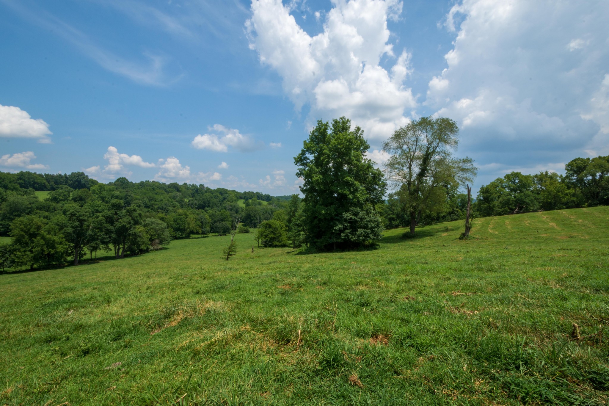 0 Short School Road Pulaski, TN 38478 - Photo 22 of 49