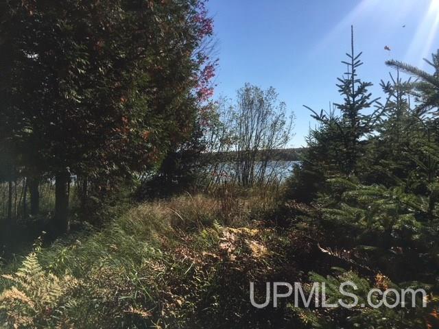 Tbd North Grosse Point Shores Road Dollar Bay, MI 49922 - Photo 8 of 16