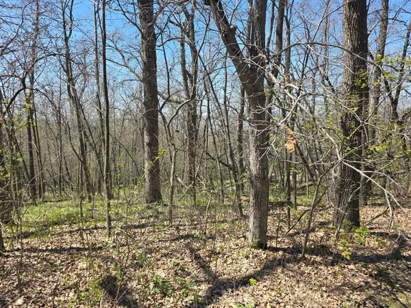 $10,000 | Lot 1 Oak Turnagain Court, Glenwood, MN 56334