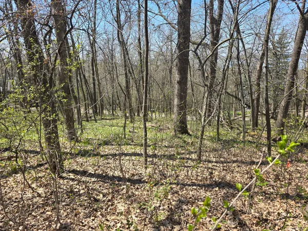 $10,000 | Lot 1 Oak Turnagain Court, Glenwood, MN 56334