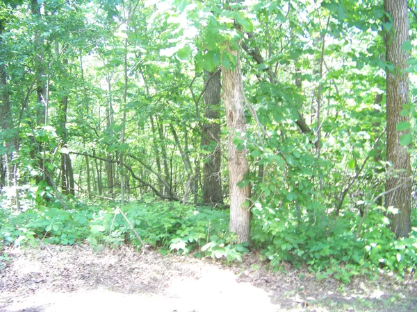 $10,000 | Lot 1 Oak Turnagain Court, Glenwood, MN 56334