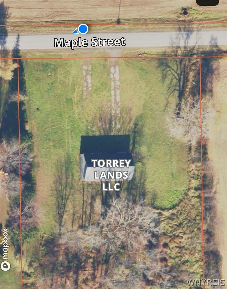 Maple Street Albion, NY 14411 - Photo 3 of 3