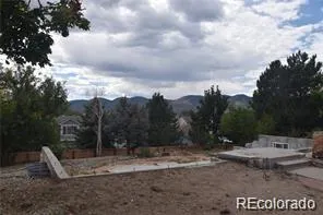 a view of a yard with a tree