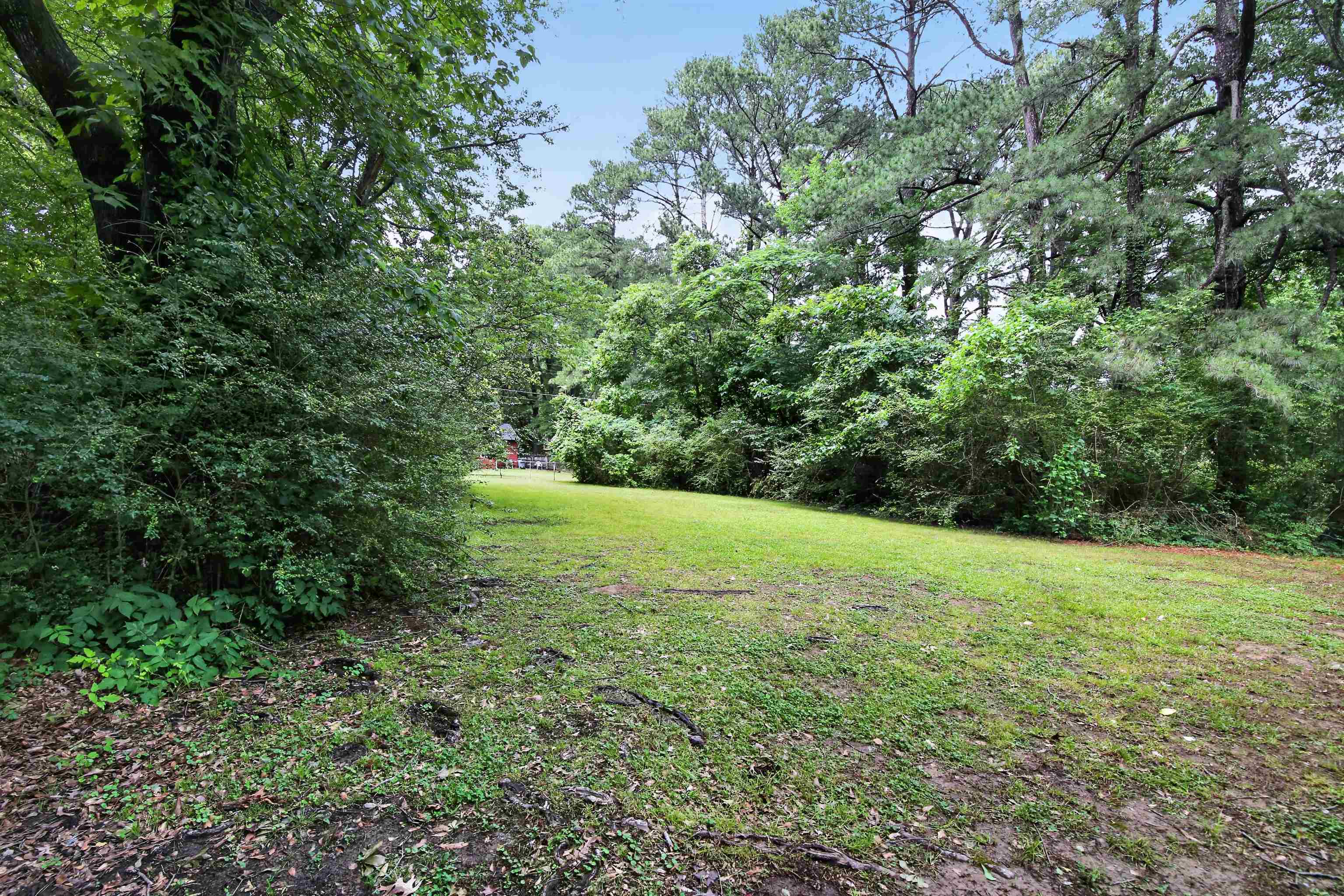 318 East Raines Road Memphis, TN 38109 - Photo 4 of 28 Expansive green lawn surrounded by mature trees and lush foliage, offering a secluded natural setting