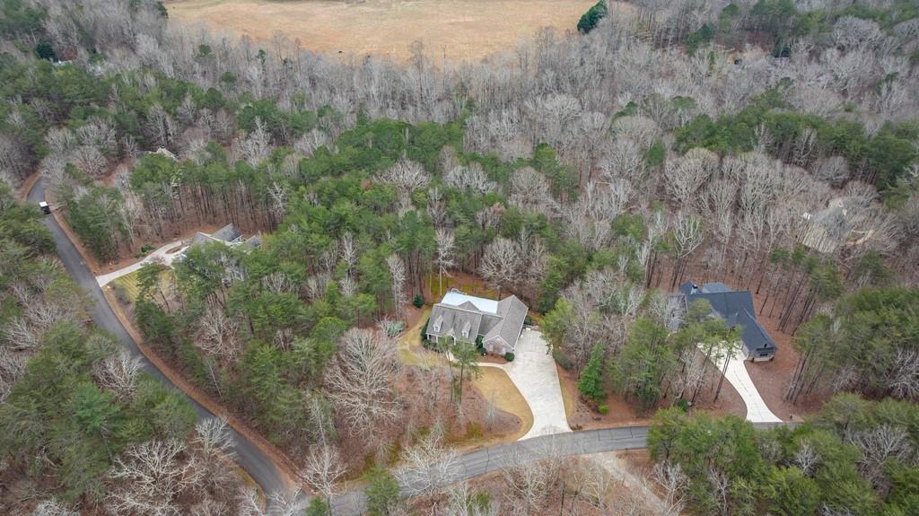 267 Sharp Mountain Parkway Jasper, GA 30143 - Photo 52 of 55 a view of a yard in a forest