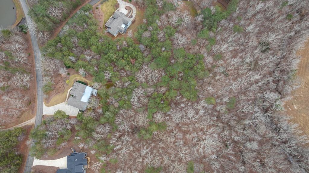 267 Sharp Mountain Parkway Jasper, GA 30143 - Photo 53 of 55 a aerial view of a house with a yard and a large tree