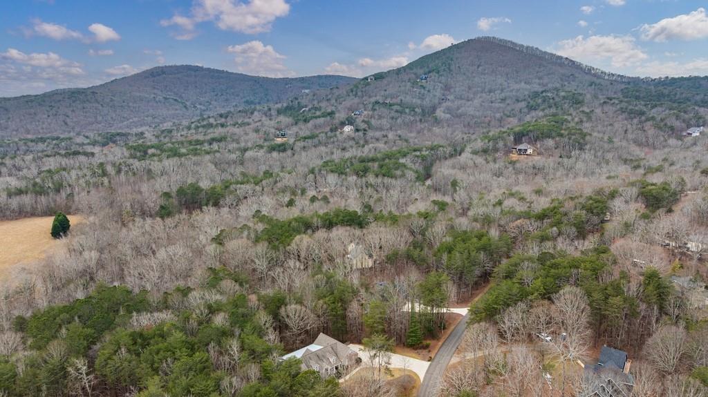 267 Sharp Mountain Parkway Jasper, GA 30143 - Photo 55 of 55