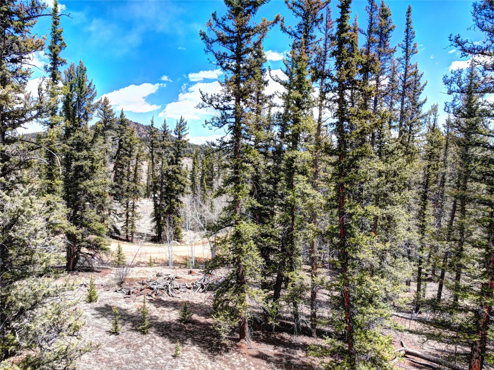 220 Pepperbox Path Como, CO 80432 - Photo 12 of 24 Gallery Image 12