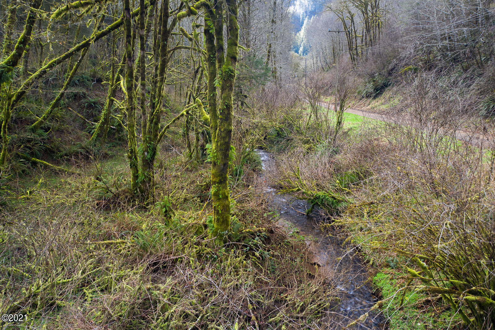 2000 East Beaver Creek Beaver, OR 97112 - Photo 13 of 13 Bummer Creek