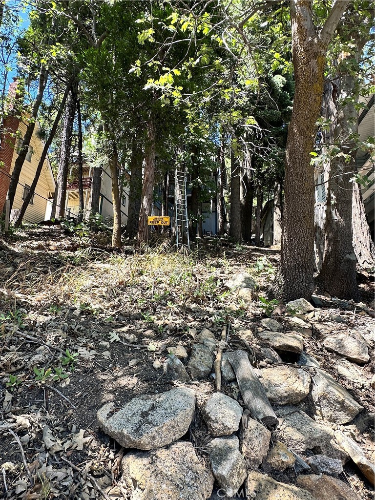 1223 Bear Springs Road Rimforest, CA 92378 - Photo 7 of 54