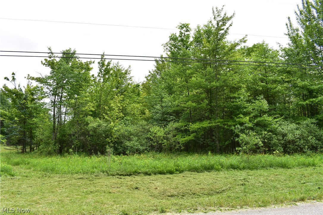 Forman Road Austinburg, OH 44010 - Photo 12 of 21 Gallery Image 12