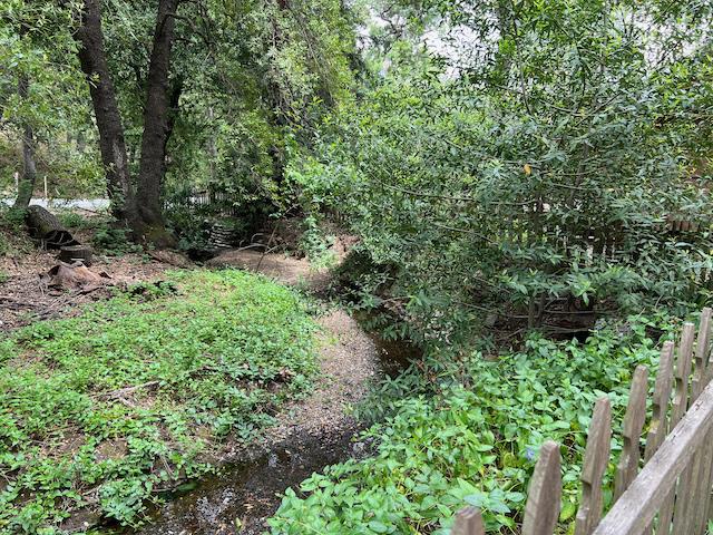 1011 Metcalf Road San Jose, CA 95138 - Photo 21 of 28 a view of a lush green forest
