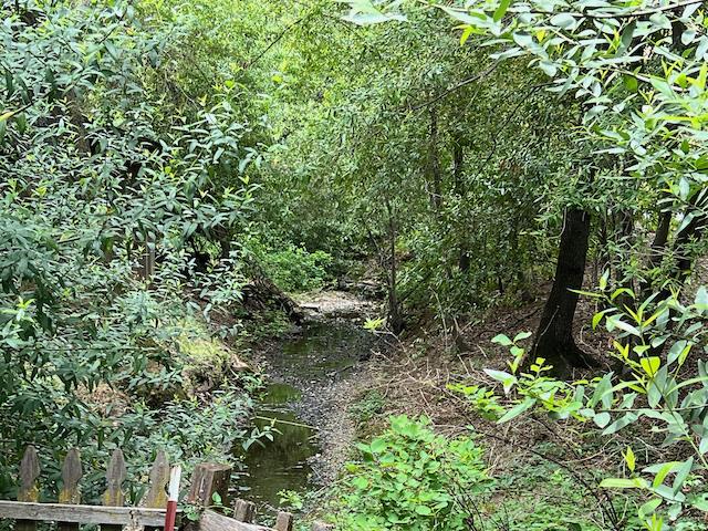 1011 Metcalf Road San Jose, CA 95138 - Photo 23 of 28 a view of a lush green forest