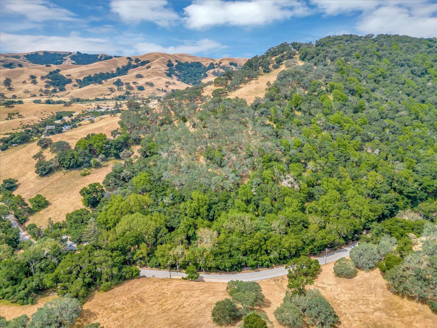 1011 Metcalf Road San Jose, CA 95138 - Photo 25 of 28 a view of a yard with a tree
