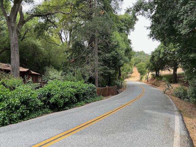 1011 Metcalf Road San Jose, CA 95138 - Photo 9 of 28 a view of a street with a tree