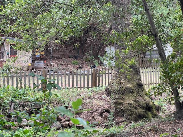 1011 Metcalf Road San Jose, CA 95138 - Photo 10 of 28 a backyard of a house with lots of green space