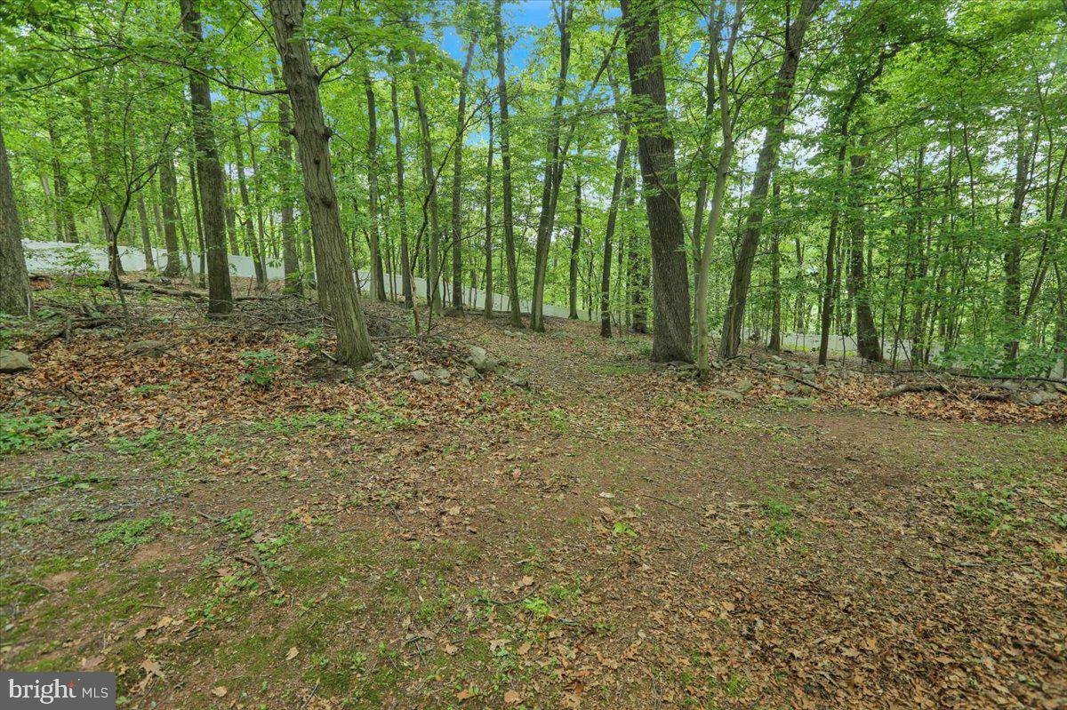 46 Spring Hill Road Hereford, PA 18056 - Photo 56 of 60